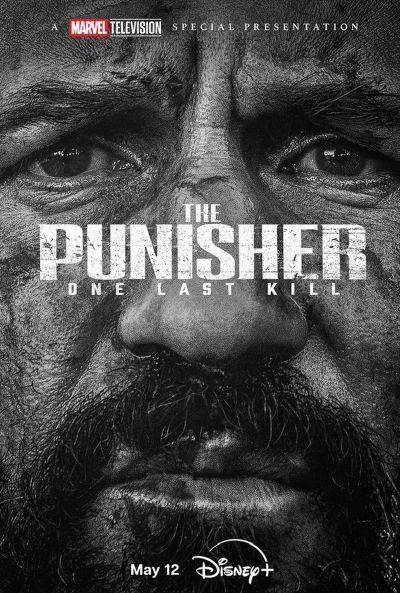 Punisher: One Last Kill
