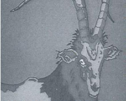 Mala povijest bh. animiranog filma (1961 - 2007), vol. 10