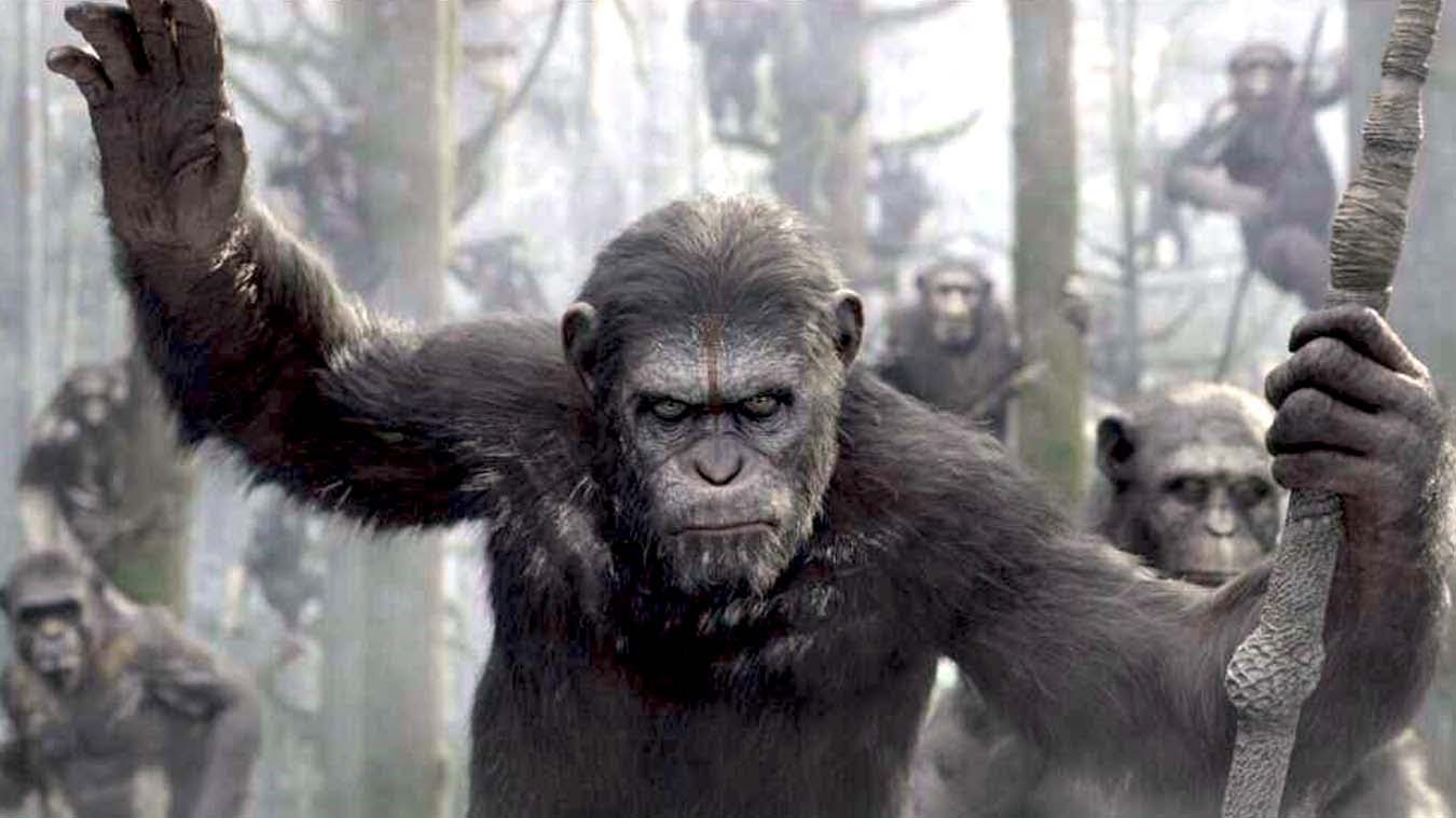 Kino premijere: ''Dawn of the Planet of the Apes''