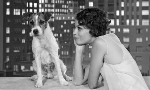 Uggie The Dog with Berenice Bejo