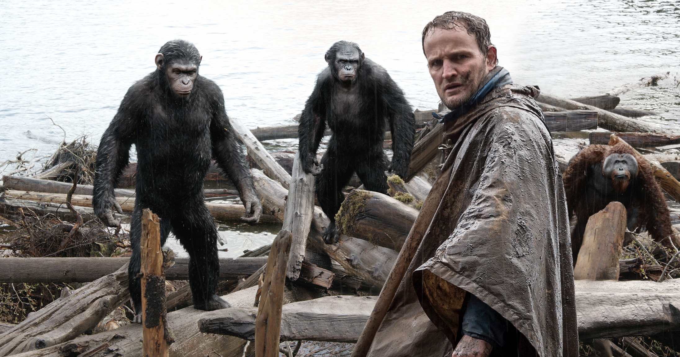 Box office: ''Dawn of the Planet of the Apes'' na prvom mjestu