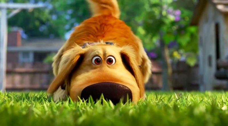 Disney+ spin-off Pixarovog "Up": CGI animirani serijal "Dug Days"