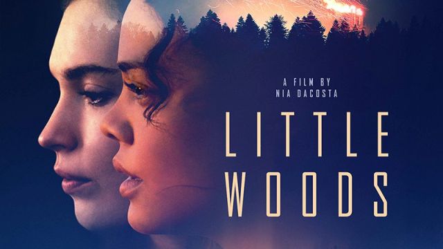 Kriminalistička triler/drama sa Thompson i James: "Little Woods"