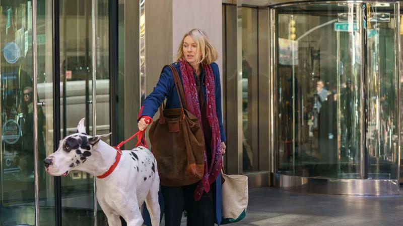 Staranje za prijateljevog najboljeg prijatelja u "The Friend"