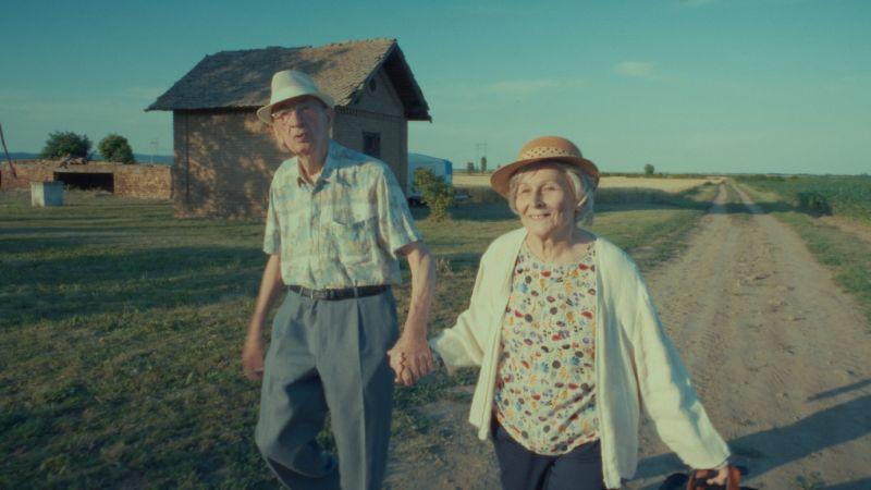 Novi film Želimira Žilnika: Restitucija, ili, San i java stare garde