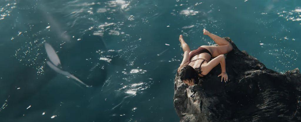 Nova neman u vodama u traileru za "Killer Whale"