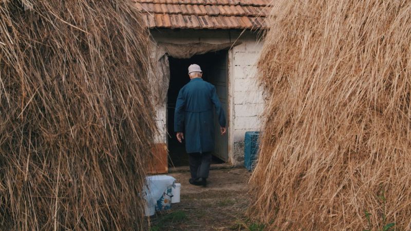 4. AJB DOC: “Posljednja krava u selu“