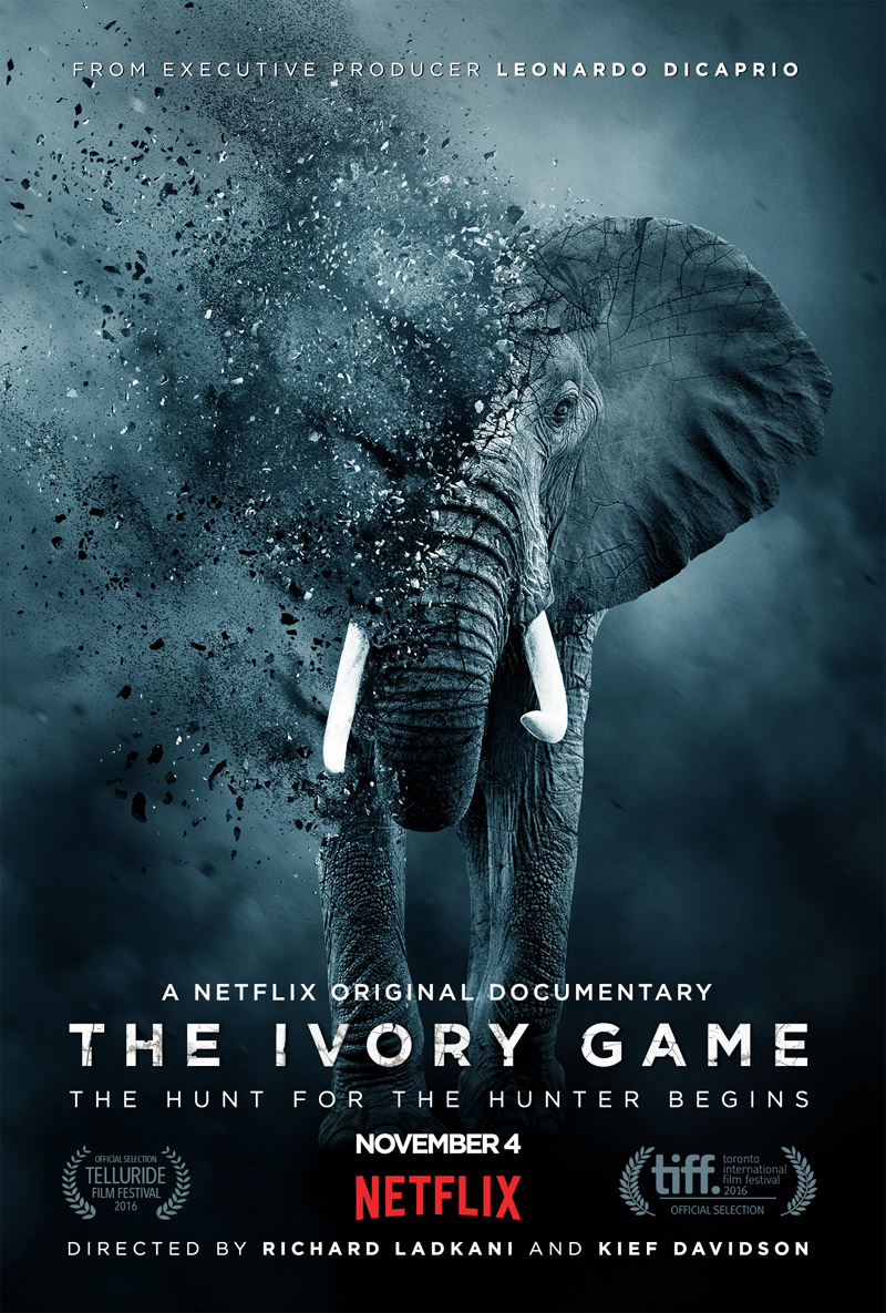 The Ivory Game