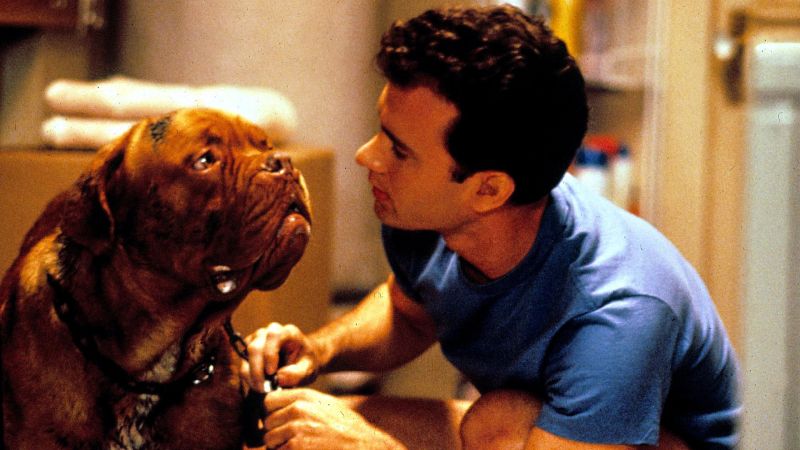 "Turner & Hooch" serija ponovo spaja policajca i psa na Disney+