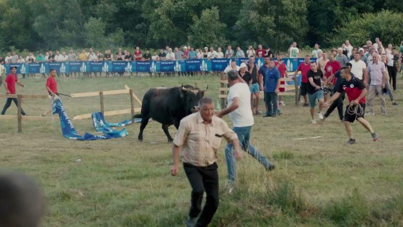 7. AJB DOC: Sve zbog jednog bika